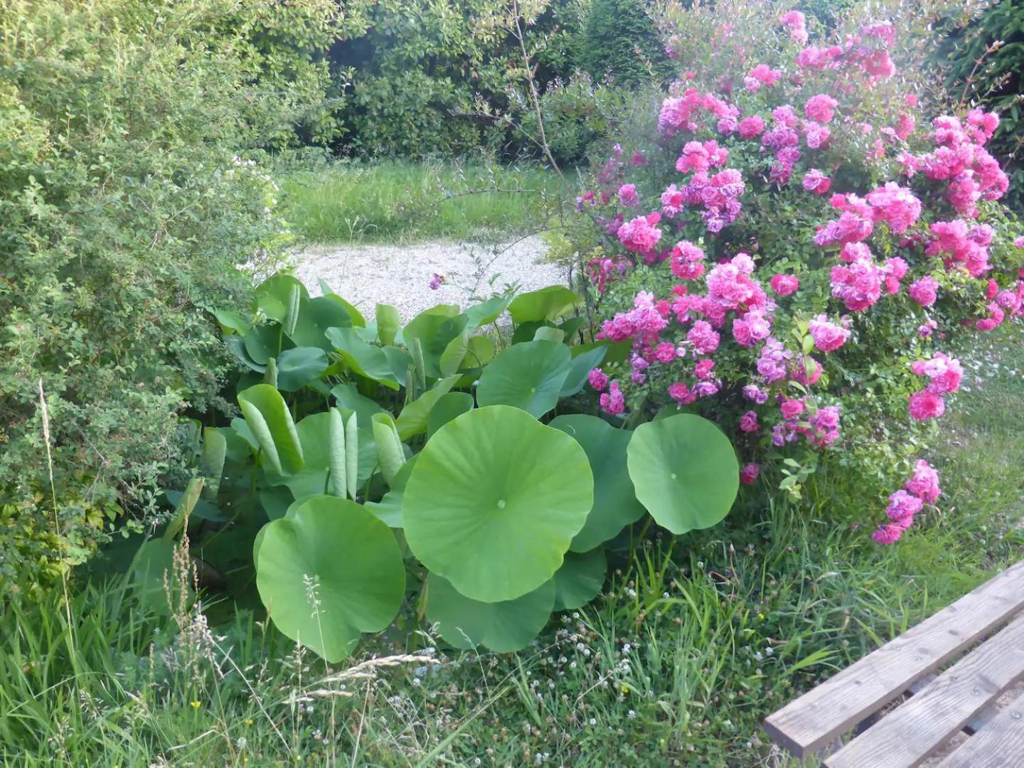 La Maison De L'Ecolieu Du Turc - Piscine Partagee Le Mas-dʼAgenais Buitenkant foto